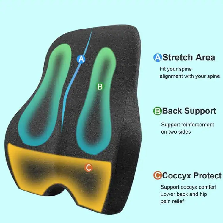 Illustration som visar ryggstödskuddens stöd för ryggrad och svanskota